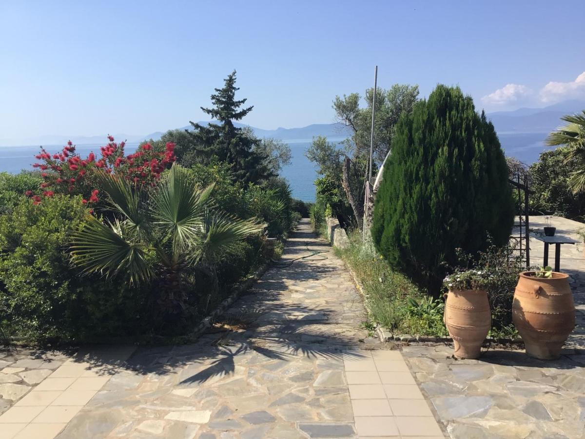 Georgia'S House Villa Marathos  Dış mekan fotoğraf