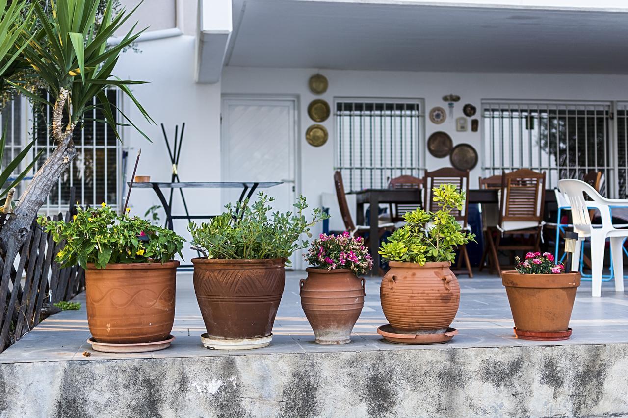 Georgia'S House Villa Marathos  Dış mekan fotoğraf